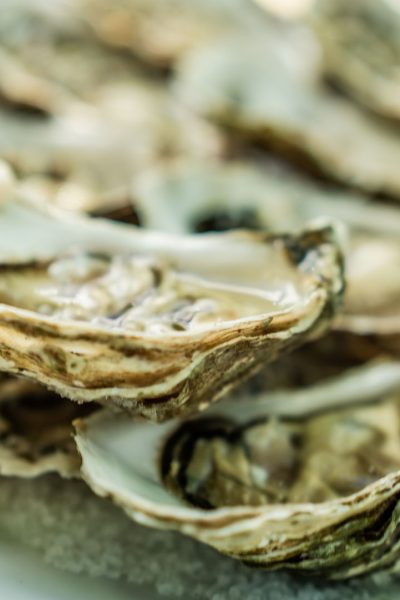 83 - SCHLOSS_MIEL_RSC_JUBILÄUM_FOTOS_Enhanced-84