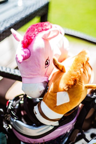 royal-sunday-chill-obstwiese-events-golf-club-schloss-miel-golfschule-pro-shop-restaurant-golf-lernen-swisttal-koeln-bonn-2023-2